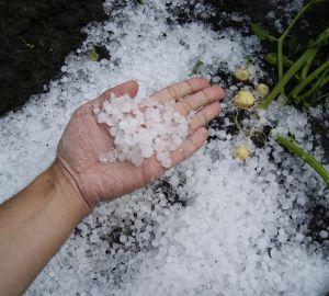 В Пензенской области пройдет гроза с градом