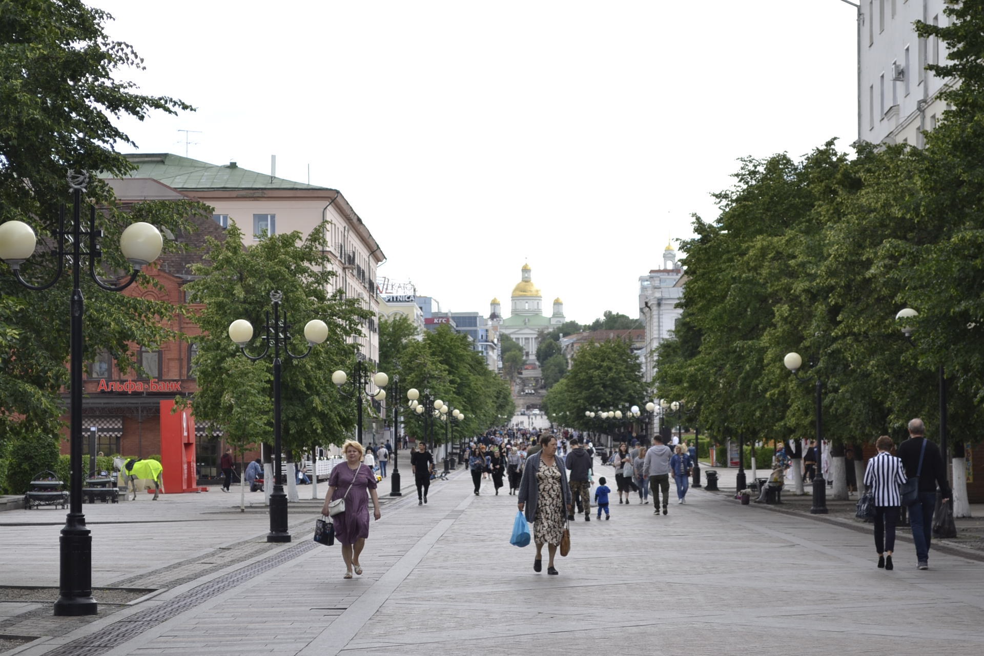 В Пензенской области выявили 113 случаев заражения коронавирусом