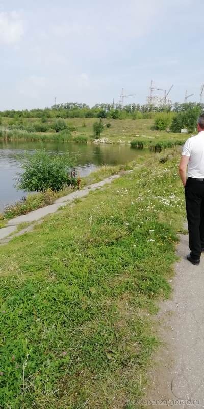 В Пензе очистят пруд рядом с больницей имени Захарьина