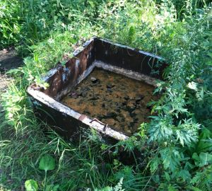 Сердобчан призвали принять участие в акции по расчистке Майского родника