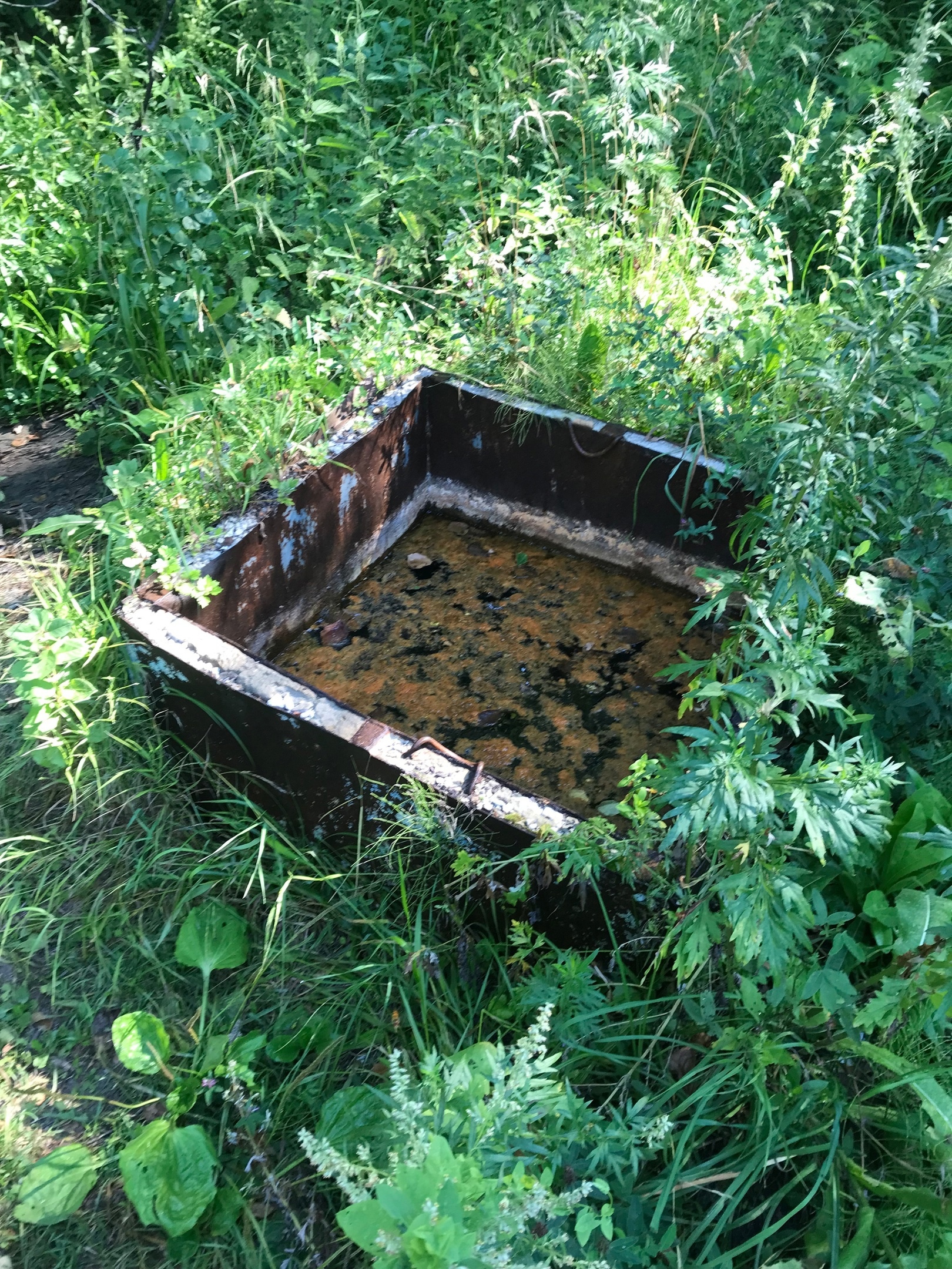 Сердобчан призвали принять участие в акции по расчистке Майского родника