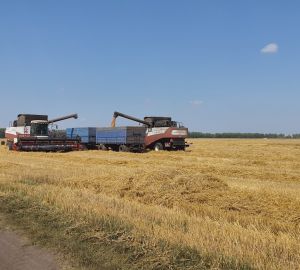 В Сердобске продолжается сбор урожая