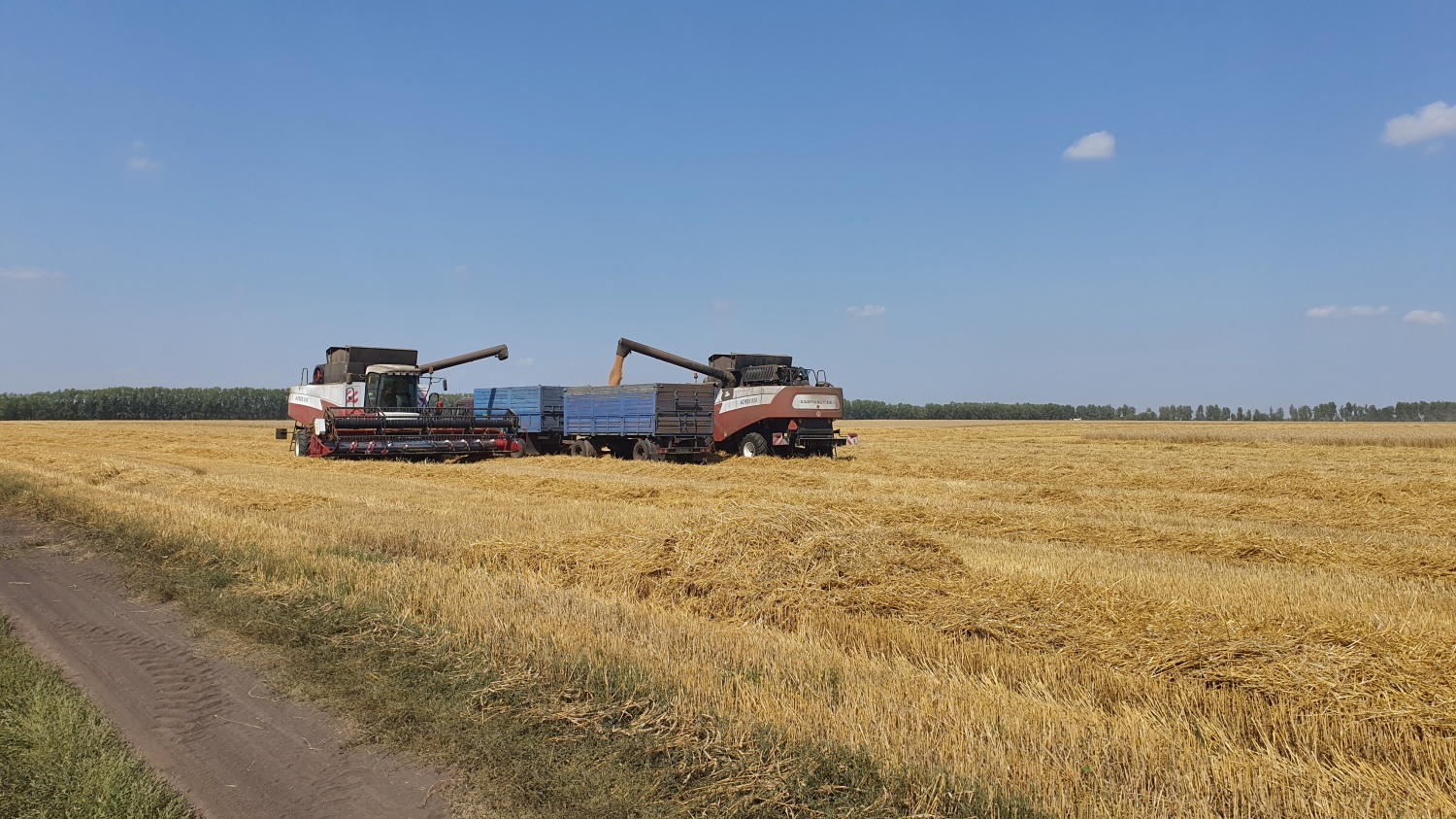В Сердобске продолжается сбор урожая