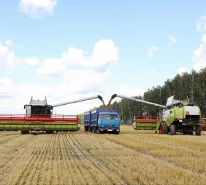 Олег Мельниченко заявил о рекордном урожае зерновых в Пензенской области