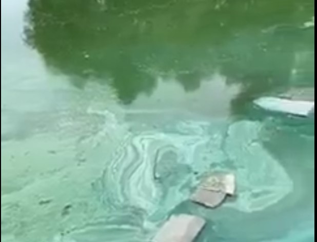 В ГИБДД прокомментировали смертельное ДТП на трассе