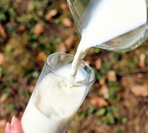 В Роспотребнадзоре рассказали, как выбрать лучшее молоко в магазинах Пензенской области