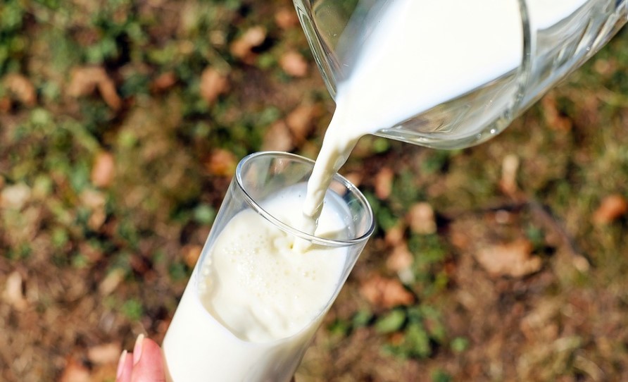 В Роспотребнадзоре рассказали, как выбрать лучшее молоко в магазинах Пензенской области