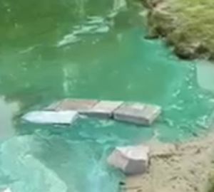 Пензенцы пожаловались на загрязненный отходами водоем на ГПЗ