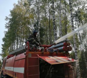 Пензенские спасатели участвуют в ликвидации пожара в Воротынском районе