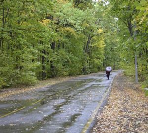 В Пензе отремонтировали дорогу, ведущую к Тропе Здоровья