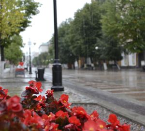 В Пензенской области на пять лет продлили программу комплексного развития сельских территорий