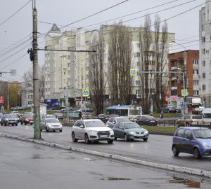 Россиянам посоветовали заменить водительские права до 2025 года