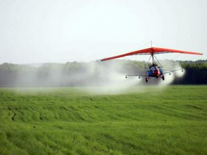 Пчеловодов Нижнеломовского района предупредили о химобработке полей