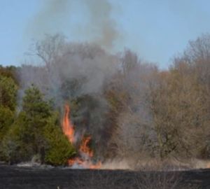 В Пензенской области возросло количество ландшафтных пожаров