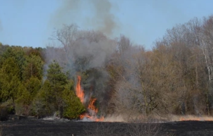 В Пензенской области возросло количество ландшафтных пожаров