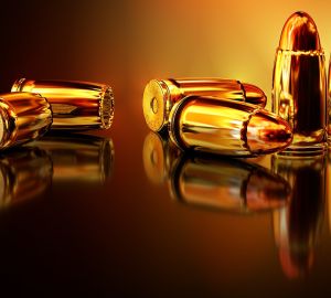 Кузнечанам, владеющих оружием, напомнили об ответственности за нарушение правил хранения