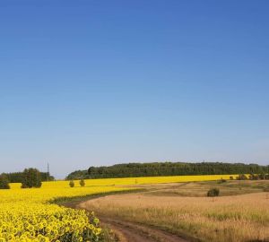 В Пензенской области стартовал сев озимых сельскохозяйственных культур