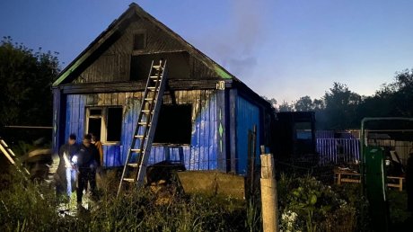 В ночном пожаре в Каменке погиб 66-летний мужчина