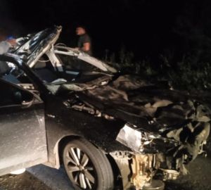 Пензенцы сообщили о госпитализации водителя, сбившего лося