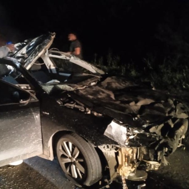 Пензенцы сообщили о госпитализации водителя, сбившего лося