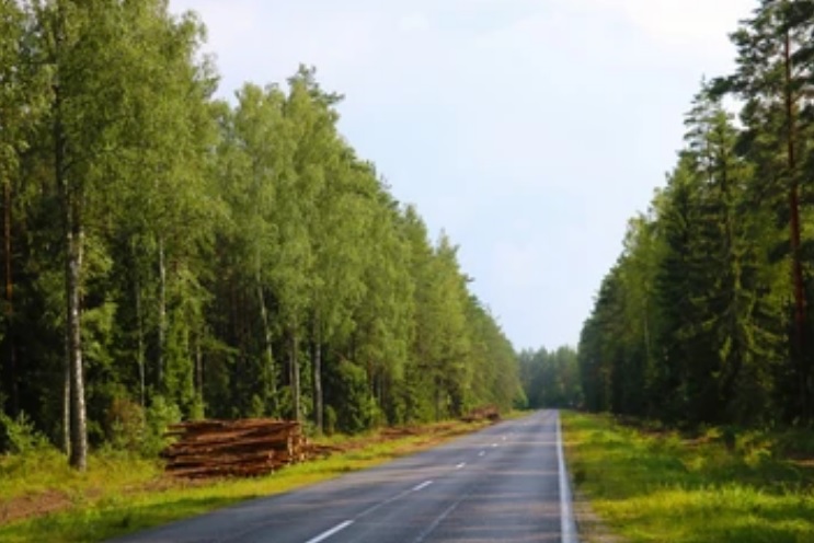 В Пензенской области трасса А-260 стала федеральной