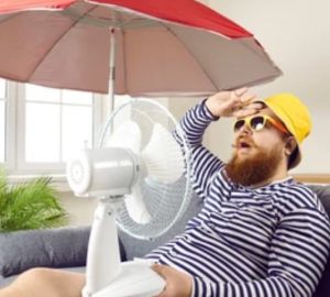 Всю неделю в Пензе будет стоять жара