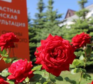 В Пензе пройдут «Дни женского здоровья»