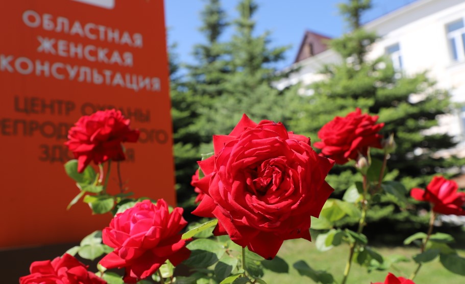 В Пензе пройдут «Дни женского здоровья»