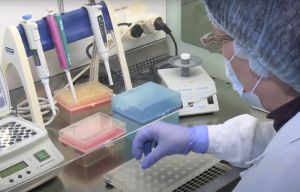 В Пензенской области жителей атакуют зараженные клещи