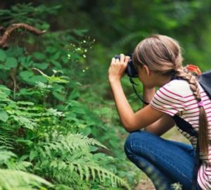 Начался прием заявок на Всероссийский заочный конкурс «Лучшее школьное лесничество-2022»