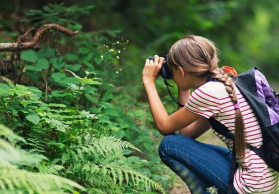 Начался прием заявок на Всероссийский заочный конкурс «Лучшее школьное лесничество-2022»