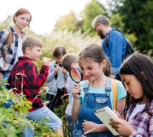 В лагере труда и отдыха в Иссинском районе выявили нарушения законодательства