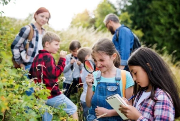 В лагере труда и отдыха в Иссинском районе выявили нарушения законодательства