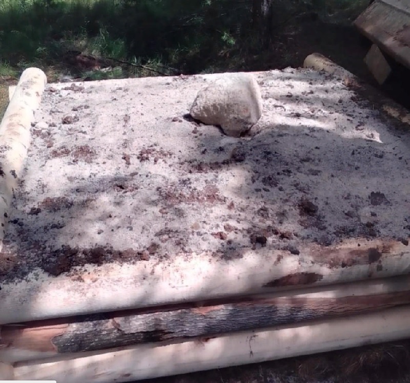 В Кузнецком районе организовали 5 подкормочных площадок для диких животных