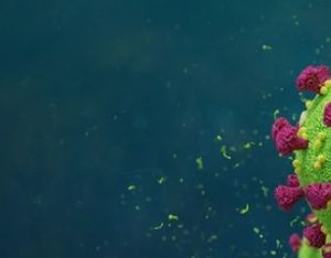 В Кузнецке и Сердобске вновь больше заболевших COVID-19, чем в других районах Пензенской области