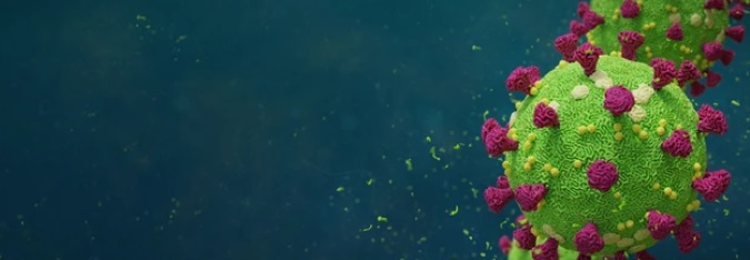 В Кузнецке и Сердобске вновь больше заболевших COVID-19, чем в других районах Пензенской области