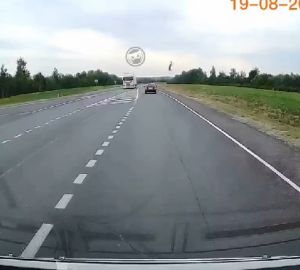 На дороге под Пензой водитель сбил резко появившуюся косулю