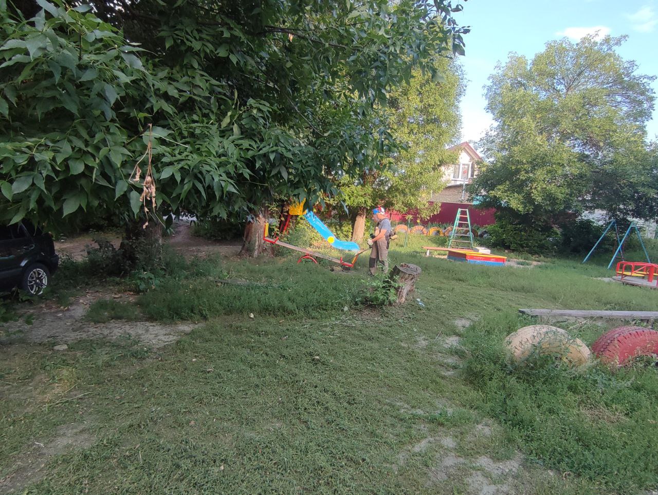 В Терновке жители не смогли добиться покоса травы от управляйки и обратились к депутату