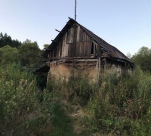 Житель Нижнего Ломова забил приятеля до смерти за оскорбление матом