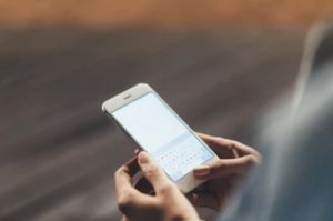 В Роспотребнадзоре  стартовала «горячая линия» по  качеству и безопасности плодоовощной продукции