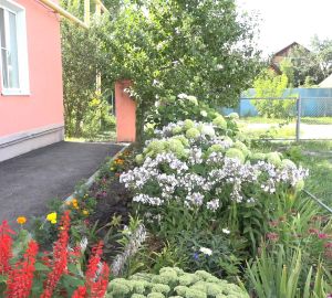 В Кузнецке жильцы МКД самостоятельно облагородили клумбы