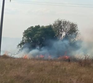В жутком пожаре в Каменском районе никто не пострадал