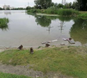 В правительстве объяснили сине-зеленый цвет водоема на ГПЗ