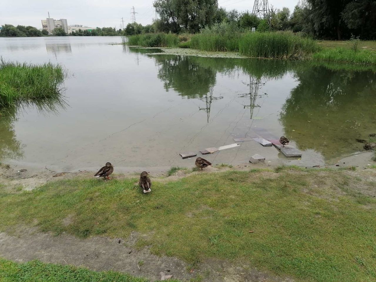 В правительстве объяснили сине-зеленый цвет водоема на ГПЗ