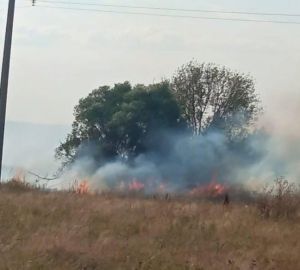 В Каменском районе продолжает гореть сухая трава