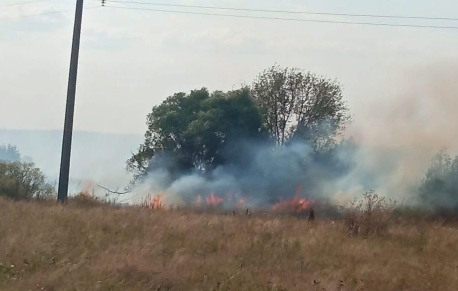 В Каменском районе продолжает гореть сухая трава