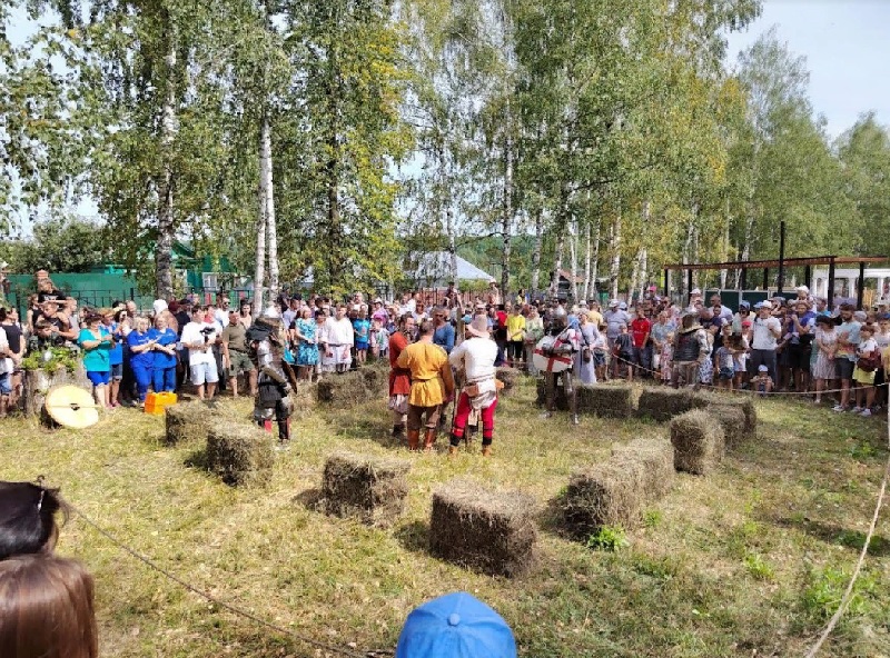 Назван срок, когда в Пензе появится музей-заповедник «Золотаревское городище»