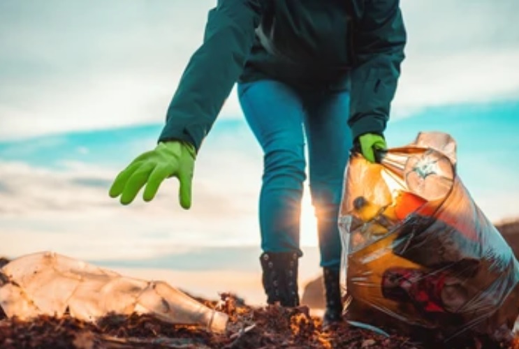 В Сердобском районе выявили мусорную свалку и отходы животноводства