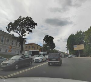 В Пензе разгорелся спор по поводу «закатанных в асфальт» деревьев на улице Лермонтова