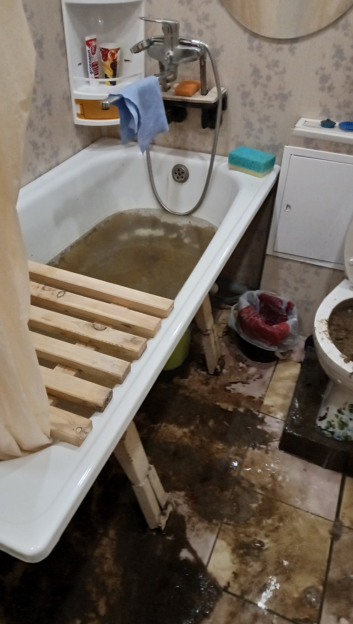 Пензенцев затапливает фекальными массами из унитаза